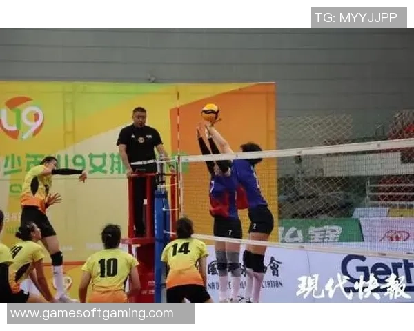 南京排球队在全国排球比赛经验排行榜中荣获第五名的辉煌成就