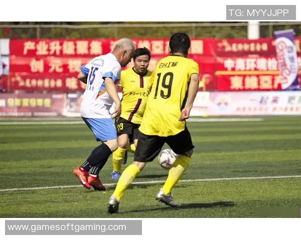 2019年中国足球明星风采大盘点与未来发展展望