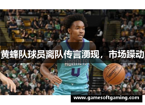 黄蜂队球员离队传言湧现，市场躁动