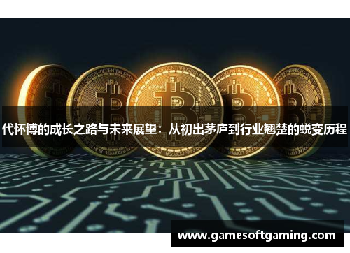 代怀博的成长之路与未来展望：从初出茅庐到行业翘楚的蜕变历程